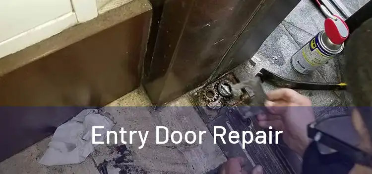 Entry Door Repair